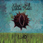 Two cover