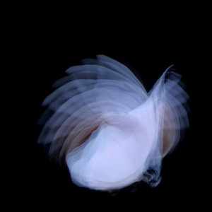 Feathermagnetik cover
