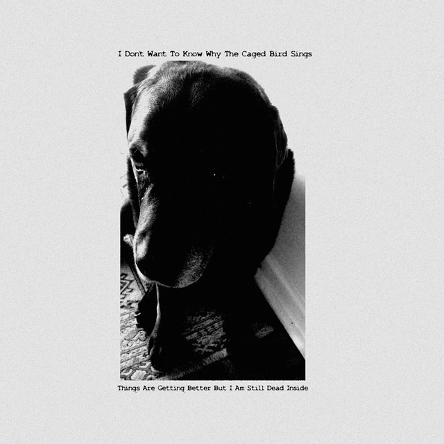 I Don't Want To Know Why The Caged Bird Sings Photo
