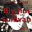 Guitar Heroes – Big Jim Sullivan Vol 1 Albumcover