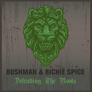 Bushman & Richie Spice Defending the Roots album