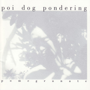 Pomegranate cover