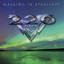 Walking in Starlight cover