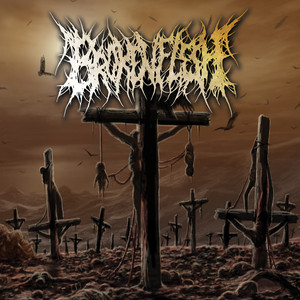 Broken Flesh Photo