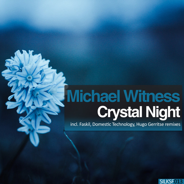 Michael Witness Photo