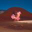 BONOBO Ft. RHYE - Break Apart