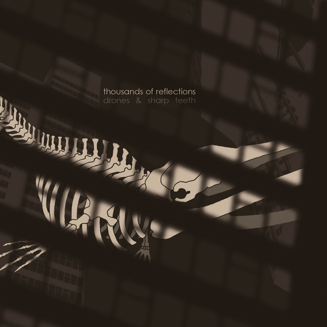 Thousands of Reflections Photo