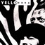 Zebra cover