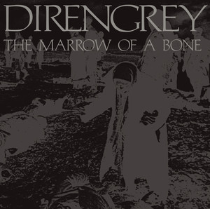THE MARROW OF A BONE album