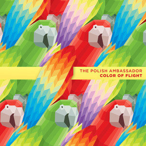 Color of Flight album