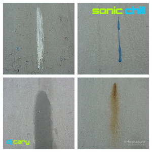 Birds in a Rat Race cover