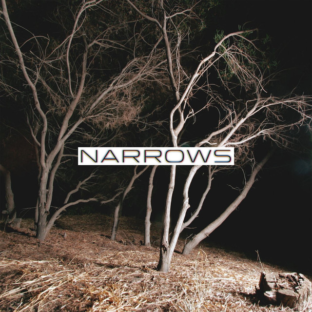 Narrows cover