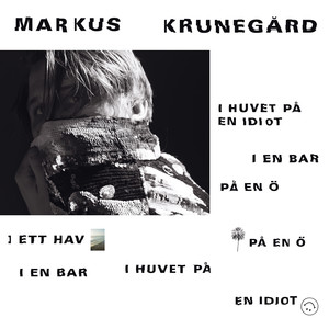 I huvet på en idiot, i en bar, på en ö, i ett hav, på en ö, i en bar, i huvet på en idiot cover