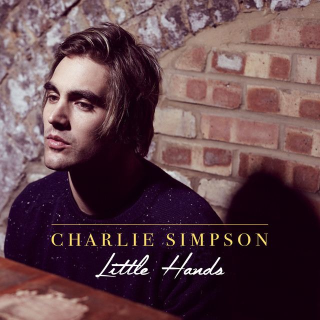 Charlie Simpson Photo