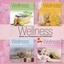 Wellness - Musik zum Entspannen und Wohlfühlen Albumcover