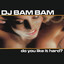 Do You Like It Hard? (Continuous DJ Mix by DJ Bam Bam) Albumcover