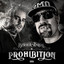 Prohibition cover