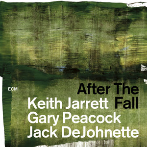 After The Fall (Live) cover