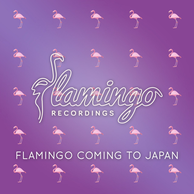 Flamingo Coming to Japan