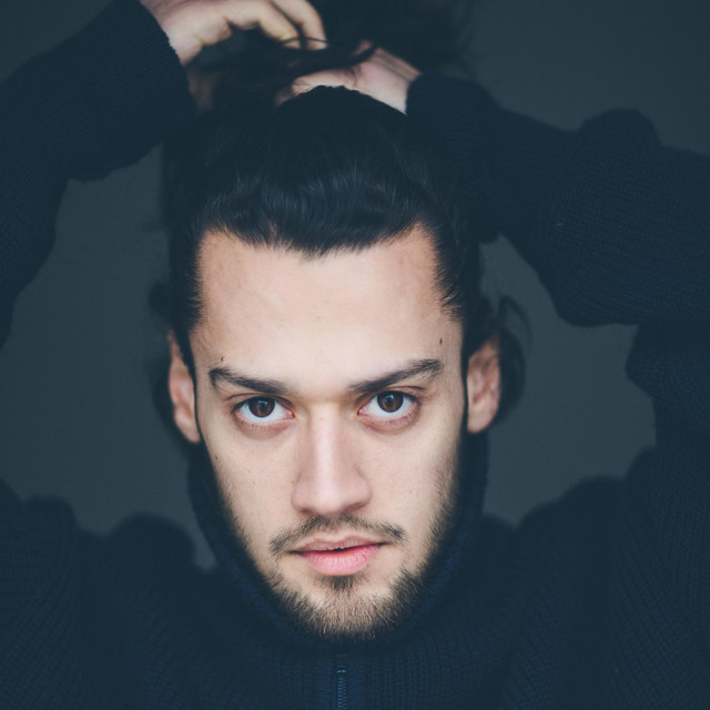 Musik Artist FINN