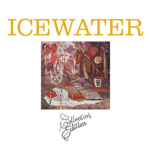 Collector's Edition cover