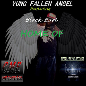 Fallen Angel cover