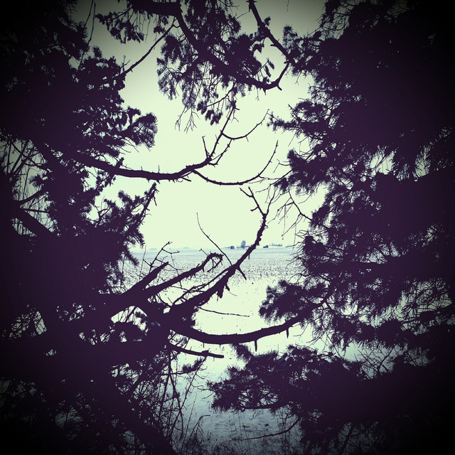 White Death Photo