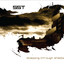 Stepping Through Shadows Albumcover