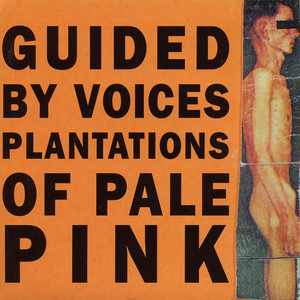 Plantations of Pale Pink album