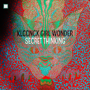 Secret Thinking cover
