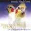 Music Birds Love: While You Are Gone Albumcover