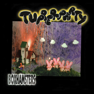 Tupperparty cover