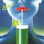 Lime II cover