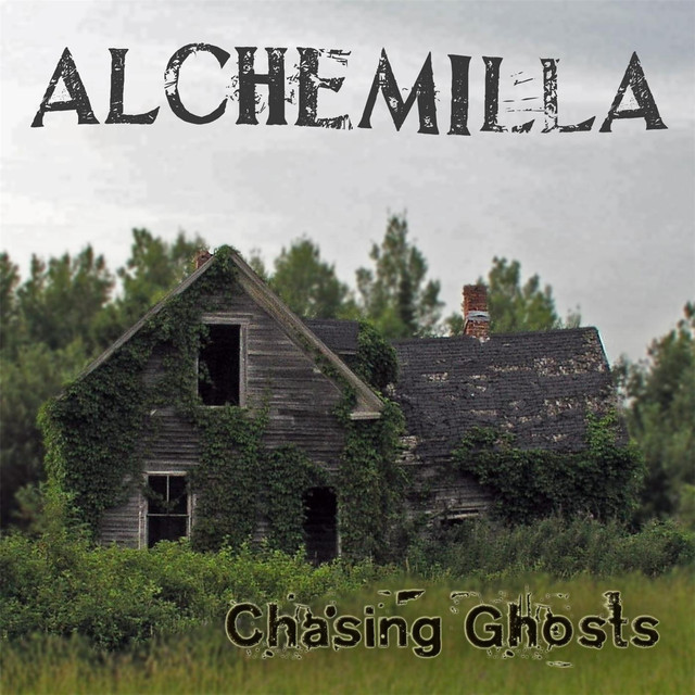 Alchemilla Photo