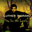 Pity for the Lonely cover