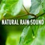 Natural Rain Sound Albumcover