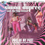 Part of My Past - The Simon Dupree and the Big Sound Anthology cover