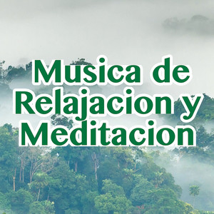 Musica de Relajacion y Meditacion album