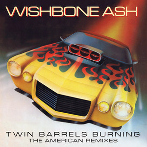 Twin Barrels Burning - The American Remixes album
