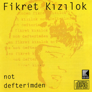 Not Defterimden cover
