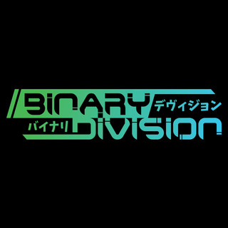 Binary Division Photo