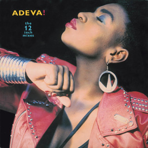 The 12" Mixes album