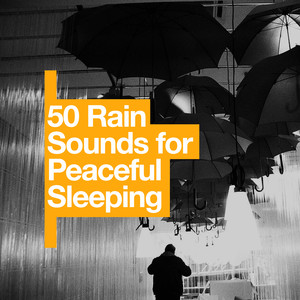 50 Rain Sounds for Peaceful Sleeping album