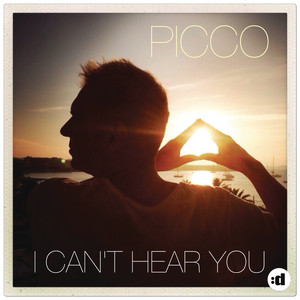 I Can't Hear You cover