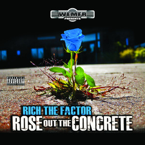 Rose Out the Concrete cover