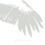 Sky Burial Albumcover