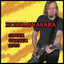 Hornanvasara's Cover Corner 2013 Albumcover