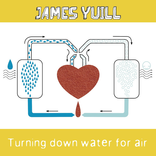 Turning Down Water For Air cover