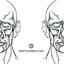 Faces Albumcover