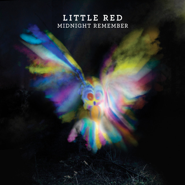 Midnight Remember cover